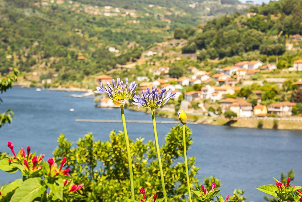 Casa Da Torre, Porto Manso Villa Ribadouro Kültér fotó