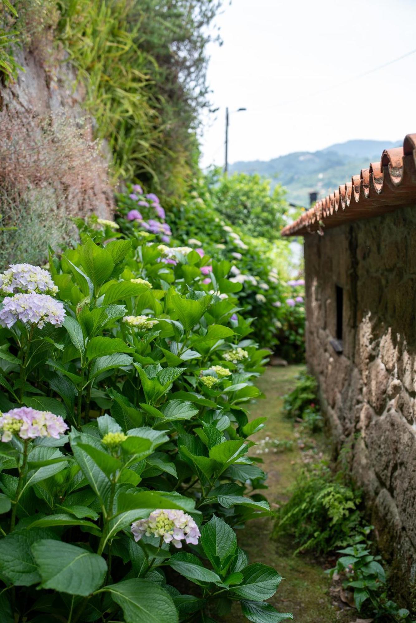 Casa Da Torre, Porto Manso Villa Ribadouro Kültér fotó