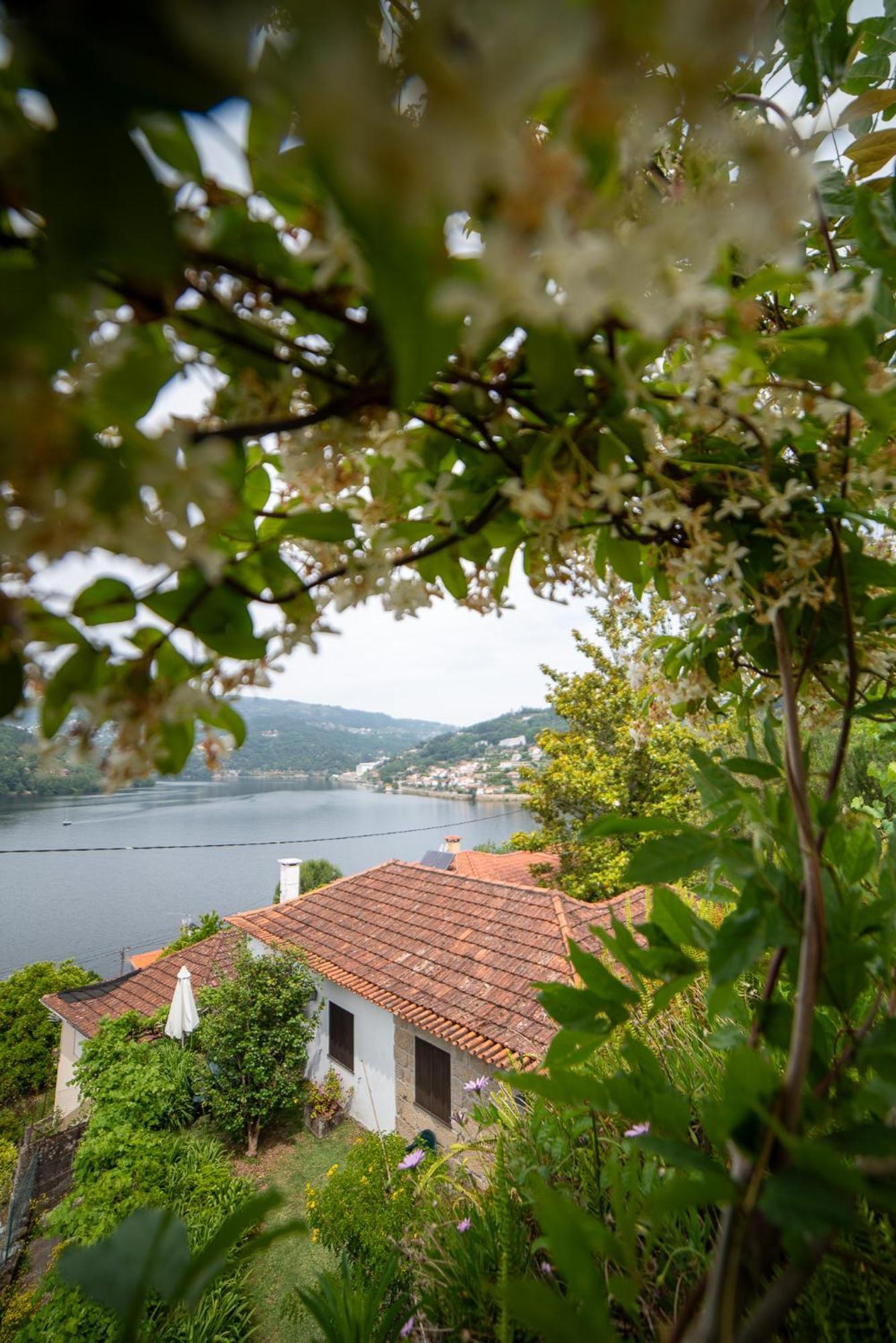 Casa Da Torre, Porto Manso Villa Ribadouro Kültér fotó